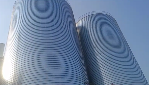 宝安2座混凝土高架卷板仓